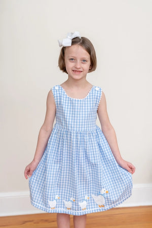 Lil Cactus Blue Gingham Goose A Line Dress (HE)
