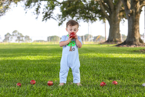 Trotter Street Kids Apple Tree & Tire Swing Romper TSK-00710 (HE)