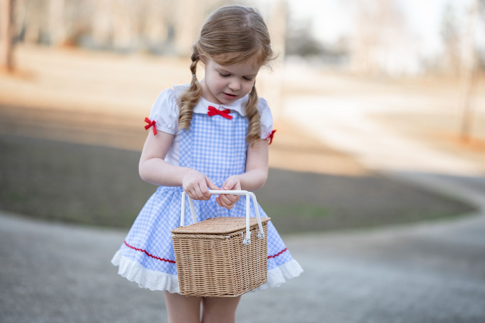 Be Girl Dorothy Dress