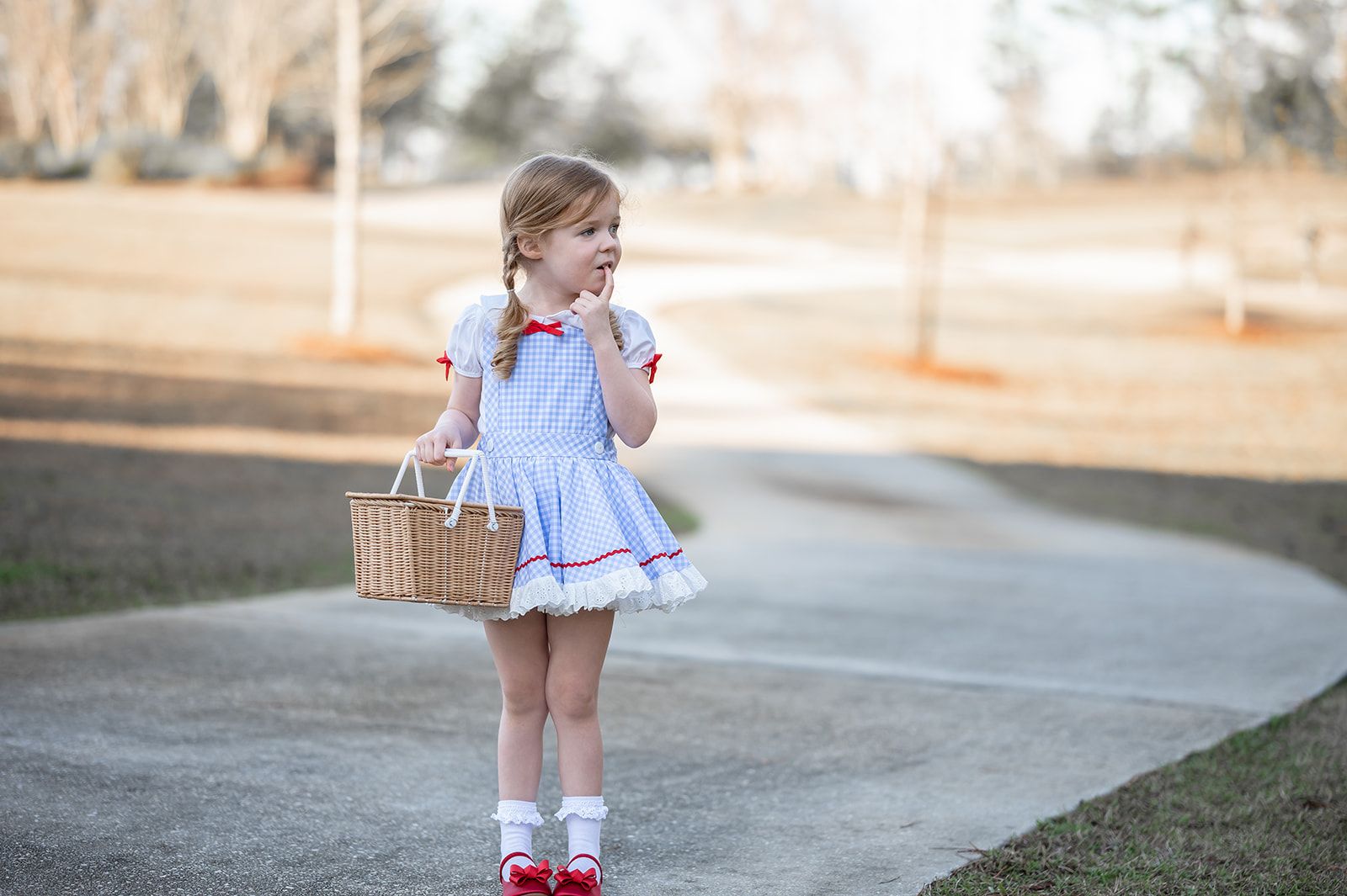 Be Girl Dorothy Dress