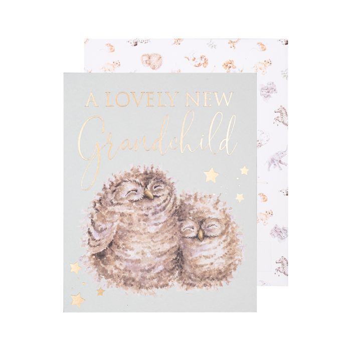 Wrendale Design 'WORDS OF WISDOM' OWL CARD (HE)