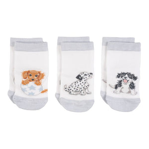 Wrendale Design 'LITTLE PAWS' DOG BABY SOCKS (HE)