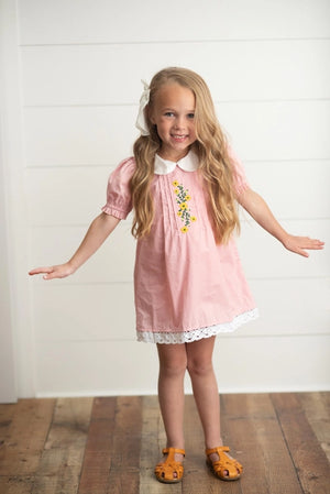 Wren & James Pink Embroidered Lace Collar Spring Easter Dress (STHE)