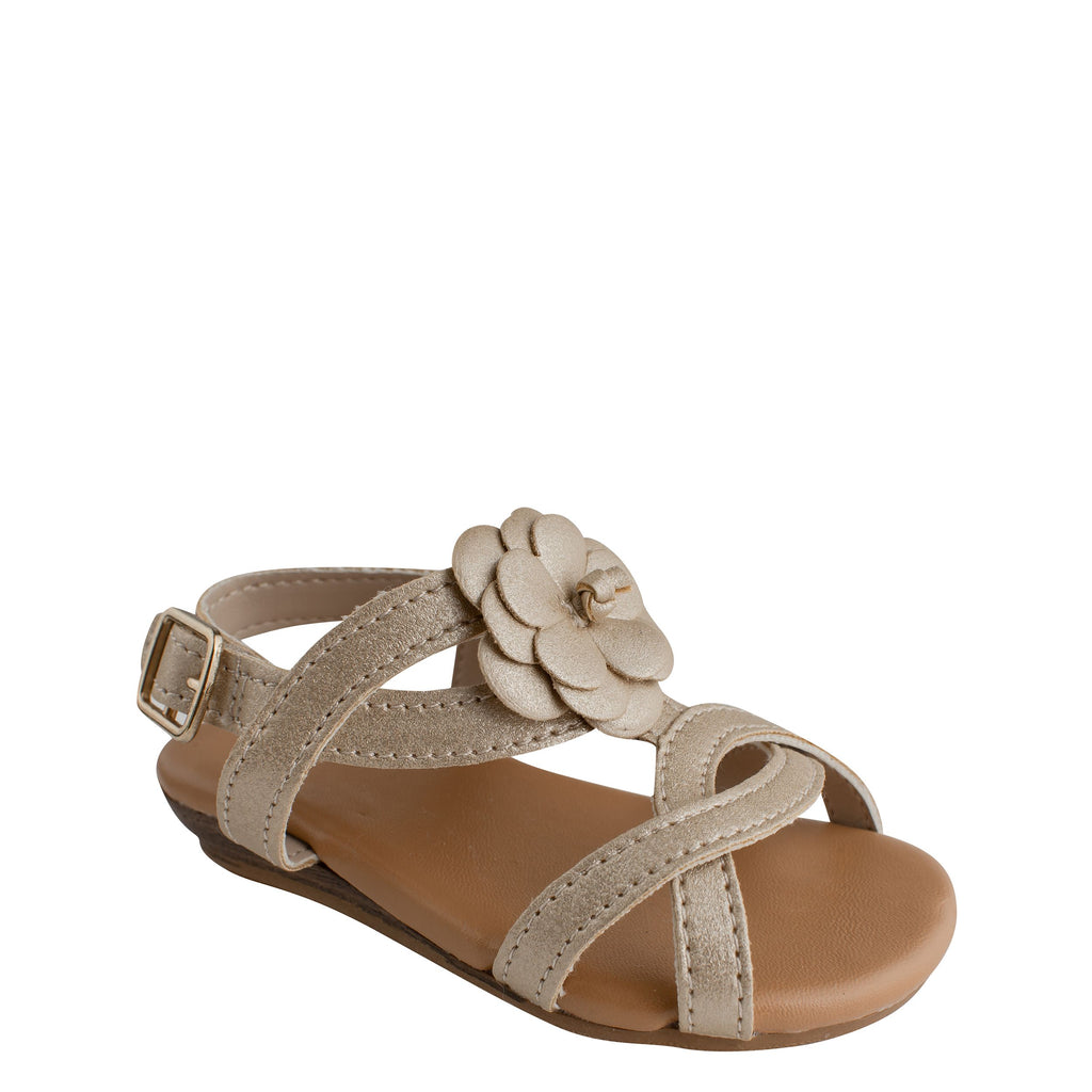 Baby Deer 6490 by Trimfoot Co. Champagne Cross Strap with Flower Sandal (STHE)