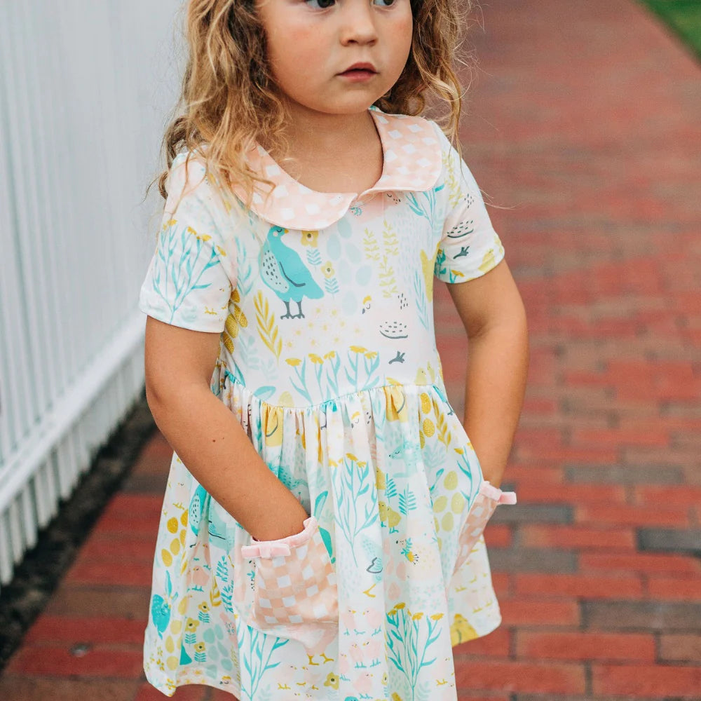 Sugar Bee Barnyard Twirl Dress