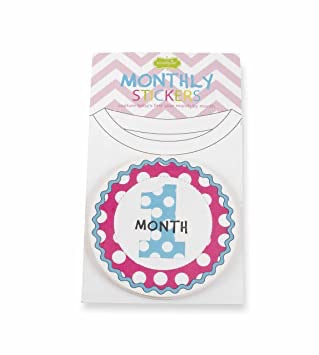 Mud Pie Girl Monthly Stickers (STHE)