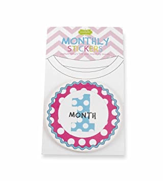 Mud Pie Girl Monthly Stickers