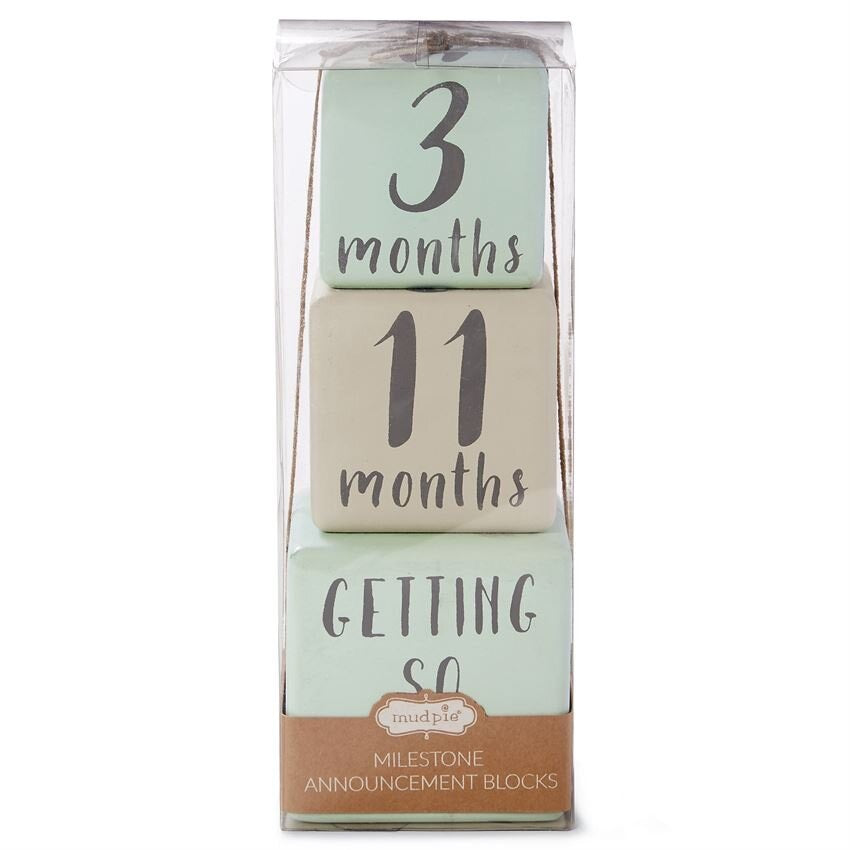 Mud Pie Boy Milestone Blocks (STHE)