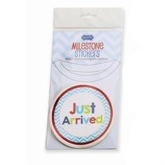 Mud Pie Boy Milestone Stickers (STHE)